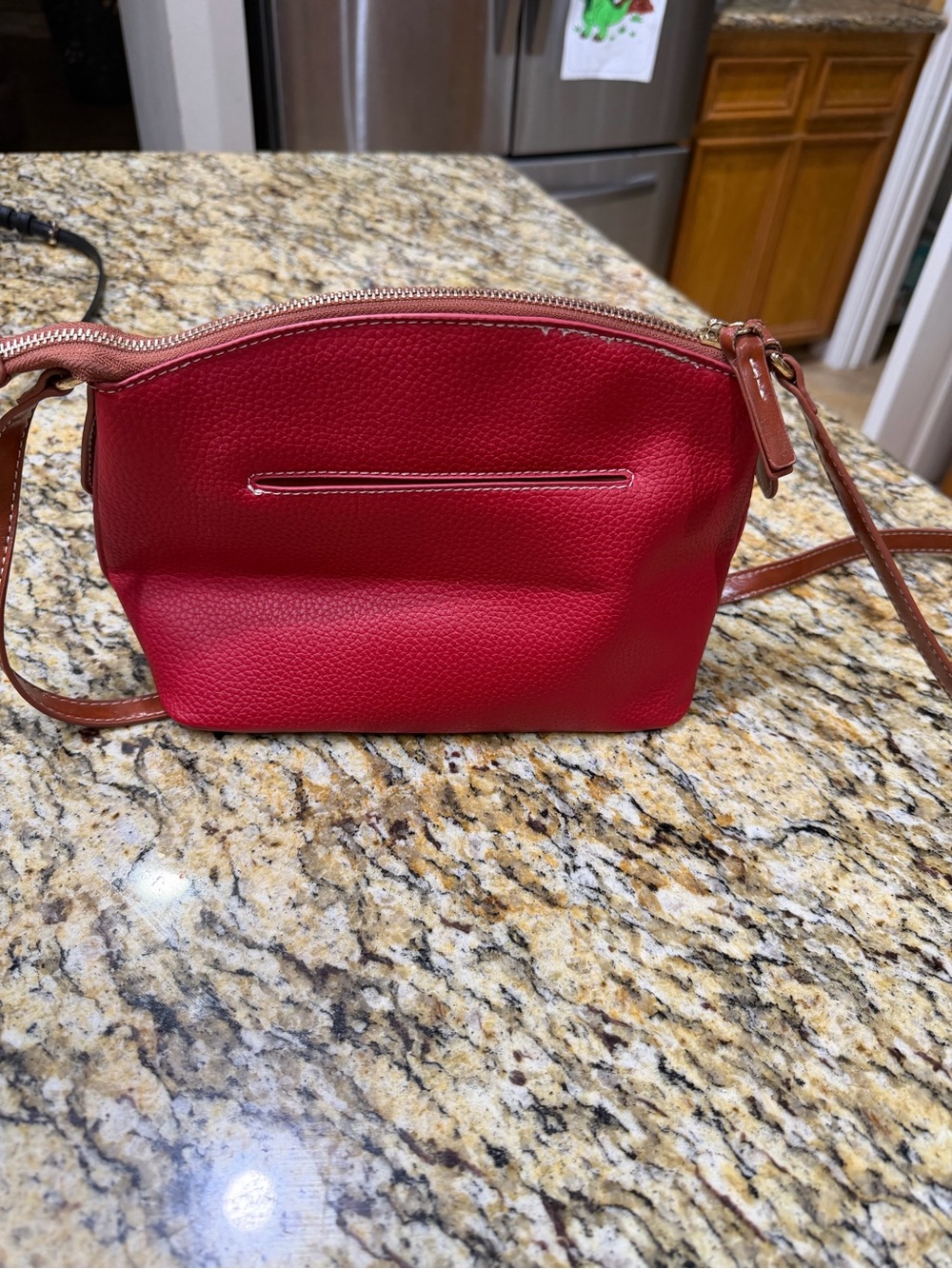 DB inspired Red Pebbled Crossbody with Brown Trim - Classic Women's Shoulder Bag - Picture 2 of 3